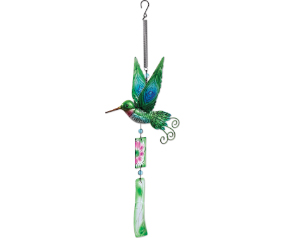 Hummingbird Bouncy