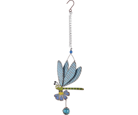 Dragonfly Bouncy