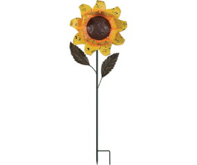 Double Petal Sunflower 42