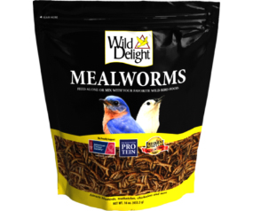 WD Mealworms 16 Oz