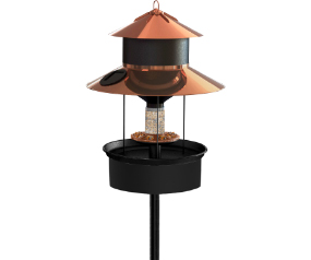 Gaslight Solar Light Seed Fdr