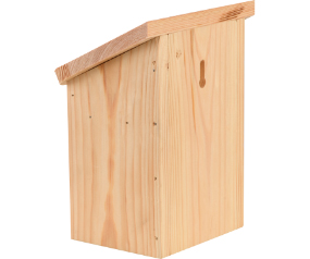 Diapositive Bee House, Wood