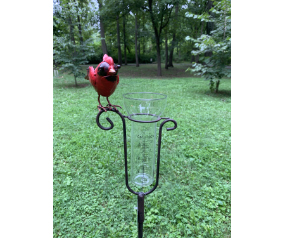 Cardinal Rain Gauge W/stake