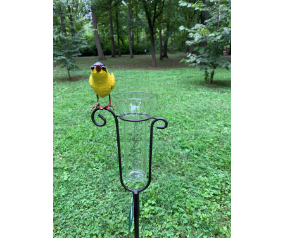 Finch Rain Gauge W/stake