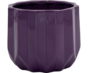 C102 1GE04020MIXC024