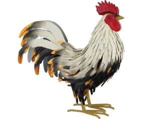 Brahma Rooster SM