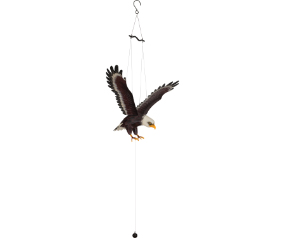 Flying Bird Mobile Eagle
