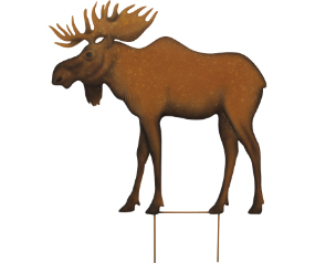 Moose Stk