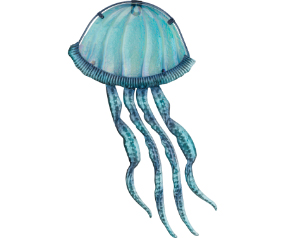 SeaBlu WD Jellyfish