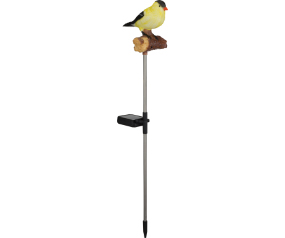 Songbird Slr/Snd Stk Gld Finch