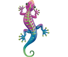 Stripe Gecko WD 12 Grn
