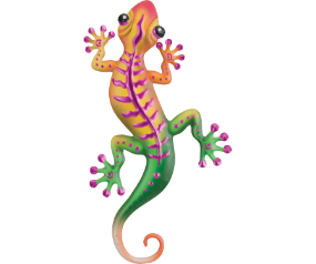 Stripe Gecko WD 12 Magenta