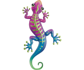 Stripe Gecko WD 18 Grn