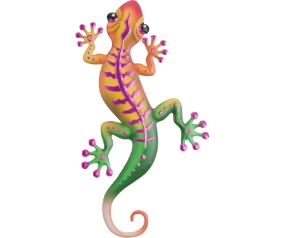 Stripe Gecko WD 18 Magenta