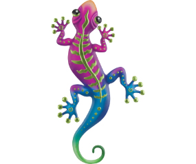 Stripe Gecko WD 24 Grn