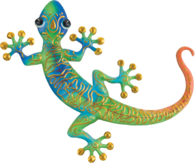 Swirl Gecko WD 11 Blu