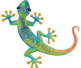 Swirl Gecko WD 16 Blu