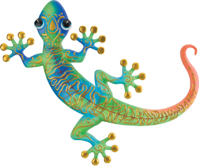 Swirl Gecko WD 20 Blu