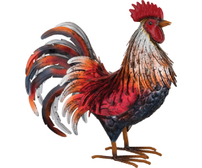 Leghorn Rooster SM Red