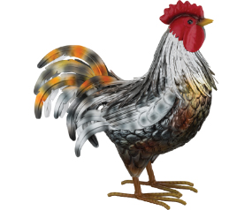 Leghorn Rooster SM White
