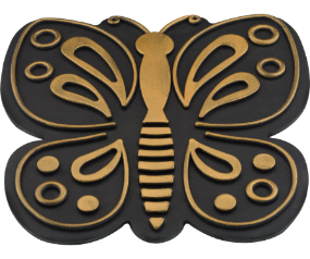 Stepping Stone Bttrfly