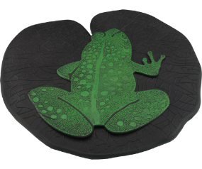 Stepping Stone Frog