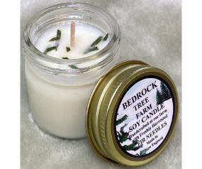 1.25oz Soy Mini Jar Natural