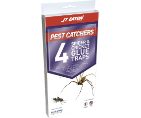 Cricket & Spider Trap 12/cs