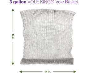 V17 VB3G4
