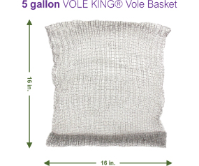V17 VB5G2