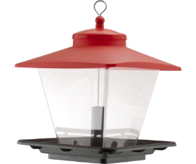 Cafe Feeder