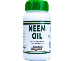 G125 VNEEM32