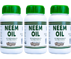 G125 VNEEM840