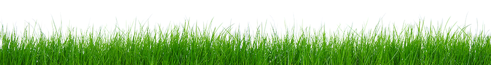 Good Prod Sales Grass image