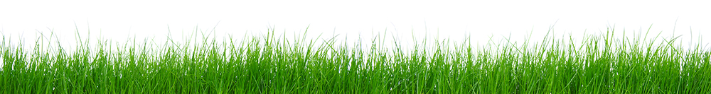 Good Prod Sales Grass image Good Prod Sales Grass image